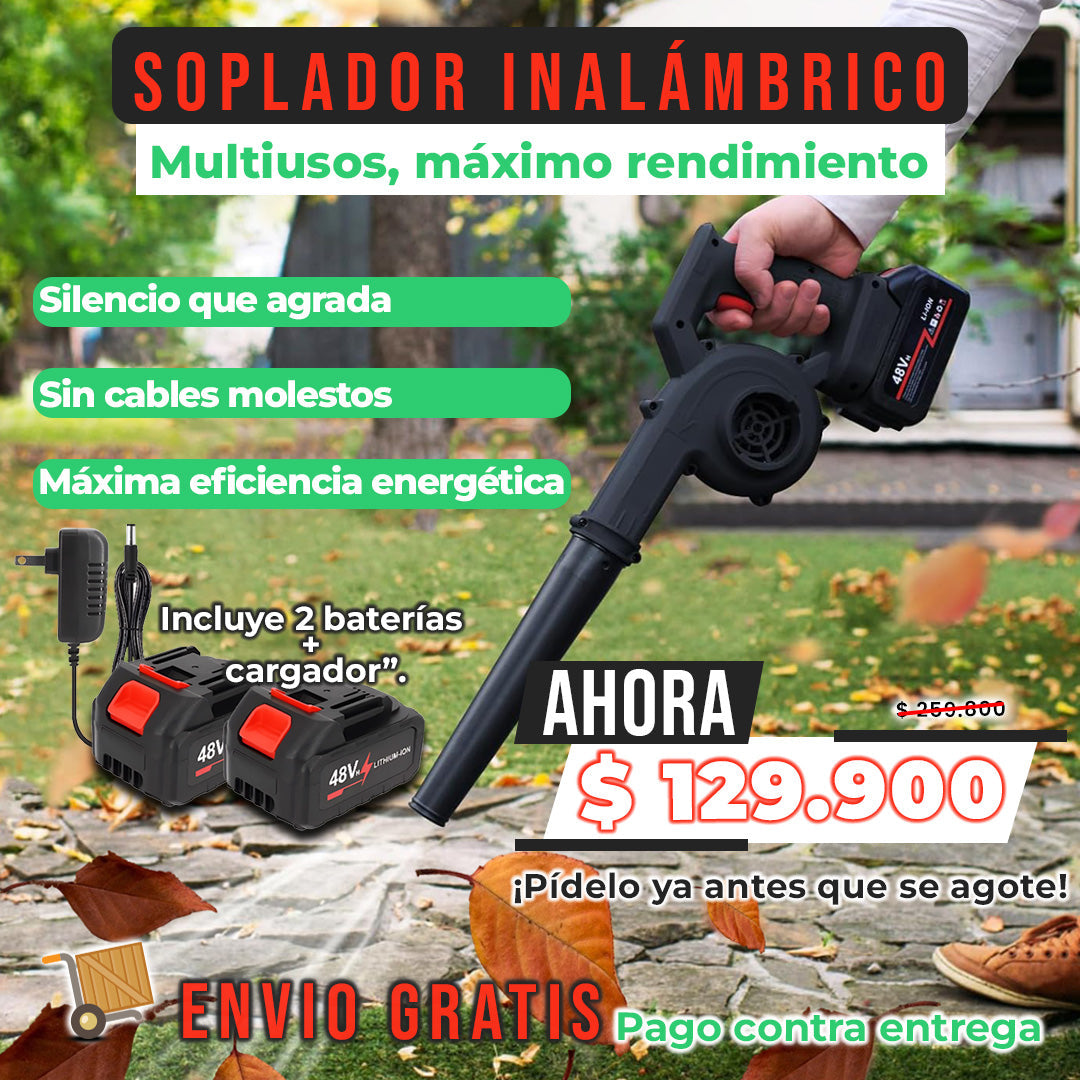 Soplador Inalambrico
